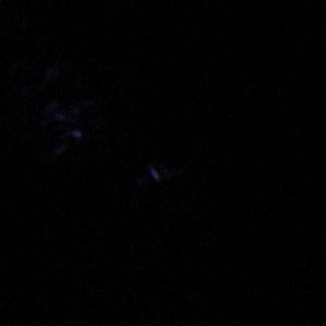 Meet your Posher, Vivian